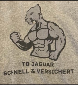 Umzug Tb Jaguar - Transportfirma in Leipzig