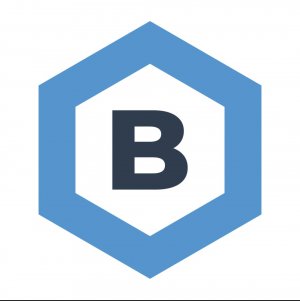 Blink Umzug - Professionelle Umzüge, Montagen & Entrümpelungen - Transportfirma in Neuwied