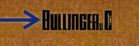 Bullinger Speditions GmbH & Co KG - Transportfirma in Stuttgart